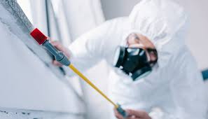 Best Pest Control for Multi-Family Homes  in Saunders Lake, OR